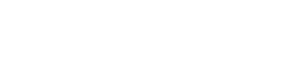 Dominion City Georgia